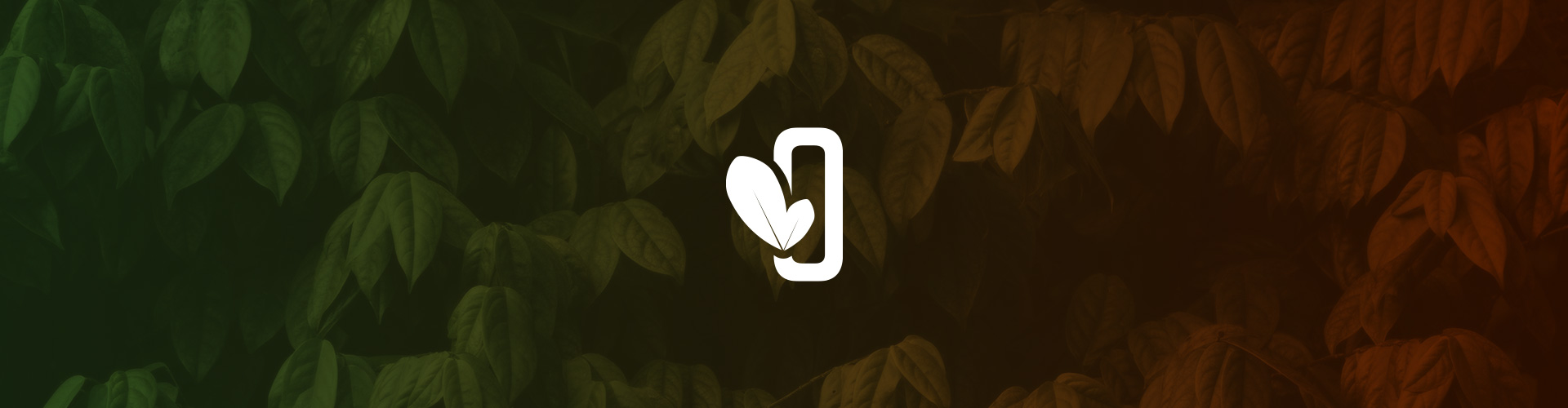 folha-de-orixa-identidade-visual-Rockd-Studio